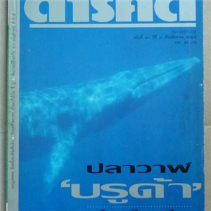 ปลาวาฬบรูด้า ครั้งแรกในทะเลไทย (สารคดี ฉบับเดือนสิงหาคม 2535)